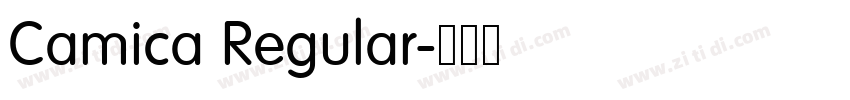 Camica Regular字体转换 Camica Regular字体转换